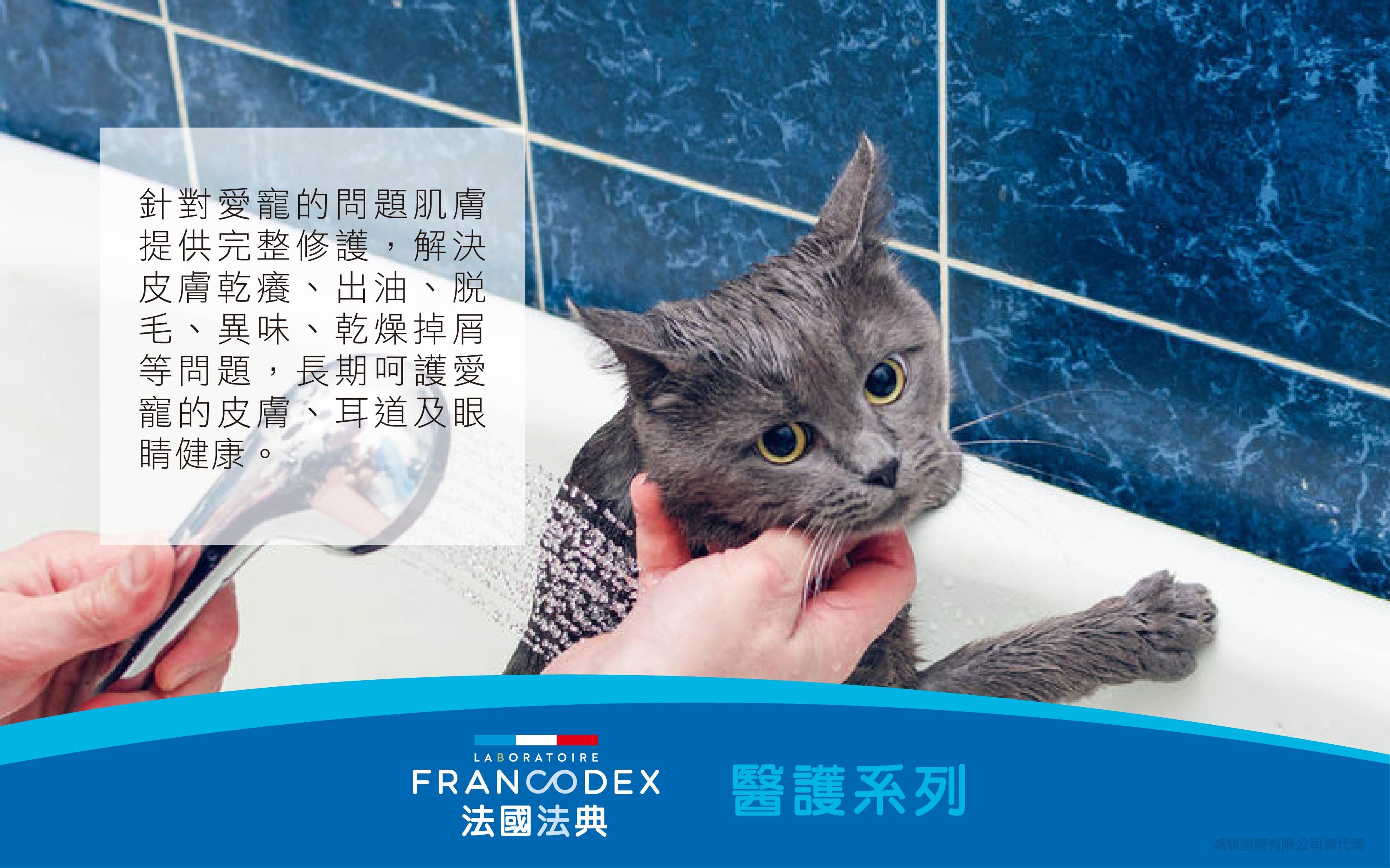 法典 強韌毛囊沐浴露