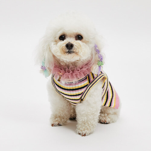 Louisdog 喀什米爾彩虹背心