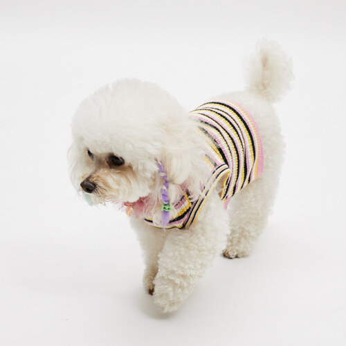 Louisdog 喀什米爾彩虹背心