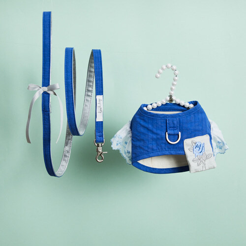 Louisdog 藍玫瑰散步胸背組