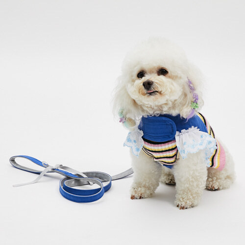 Louisdog 藍玫瑰散步胸背組