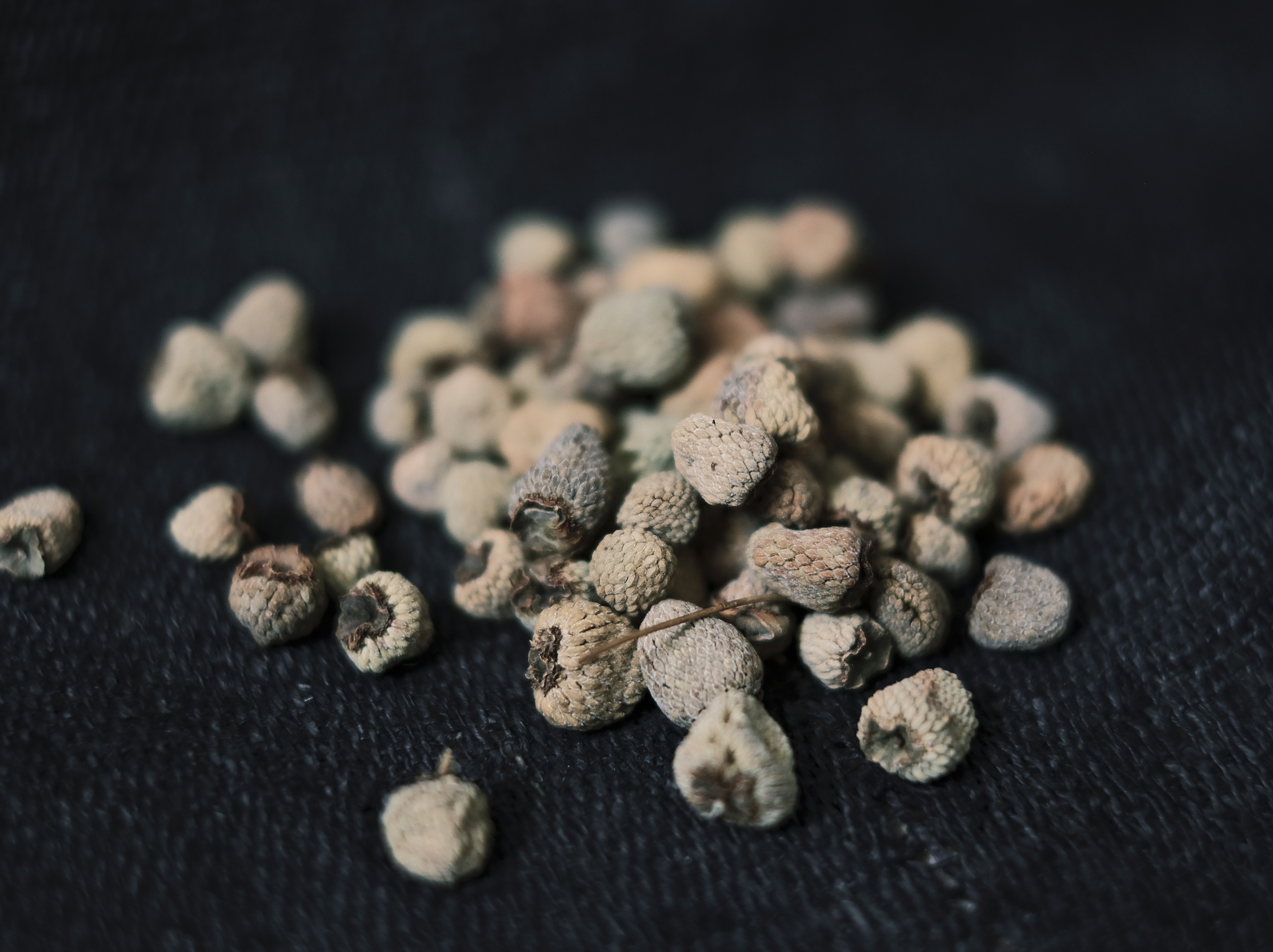 MUCAO 覆盆子耳環 純銀_藥草系列