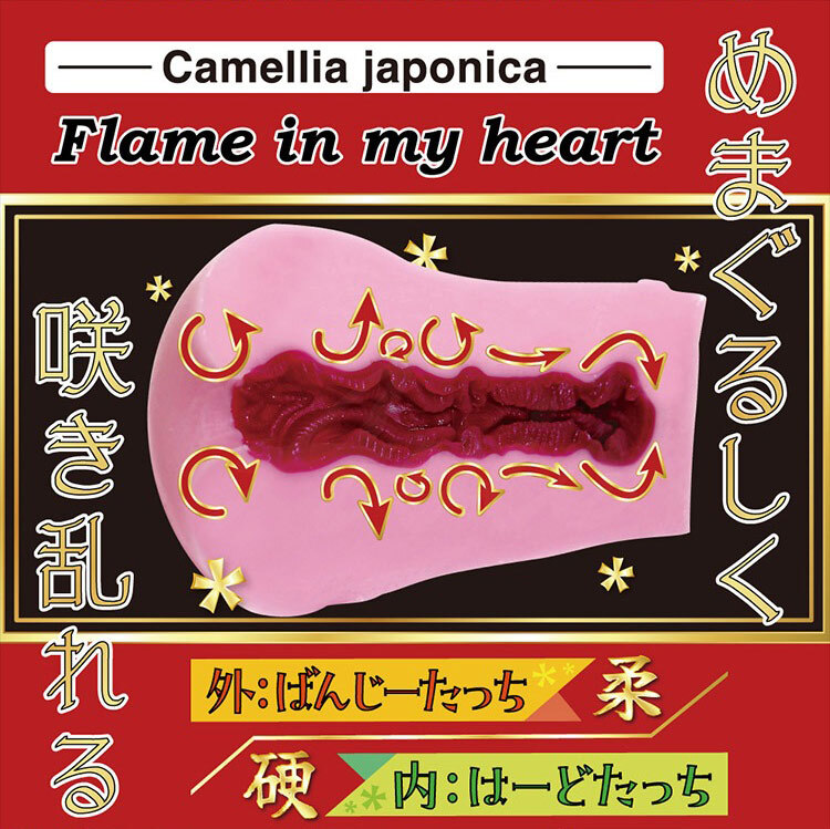 RIDE JAPAN 椿-TSUBAKI 山茶花雙層結構 飛機杯