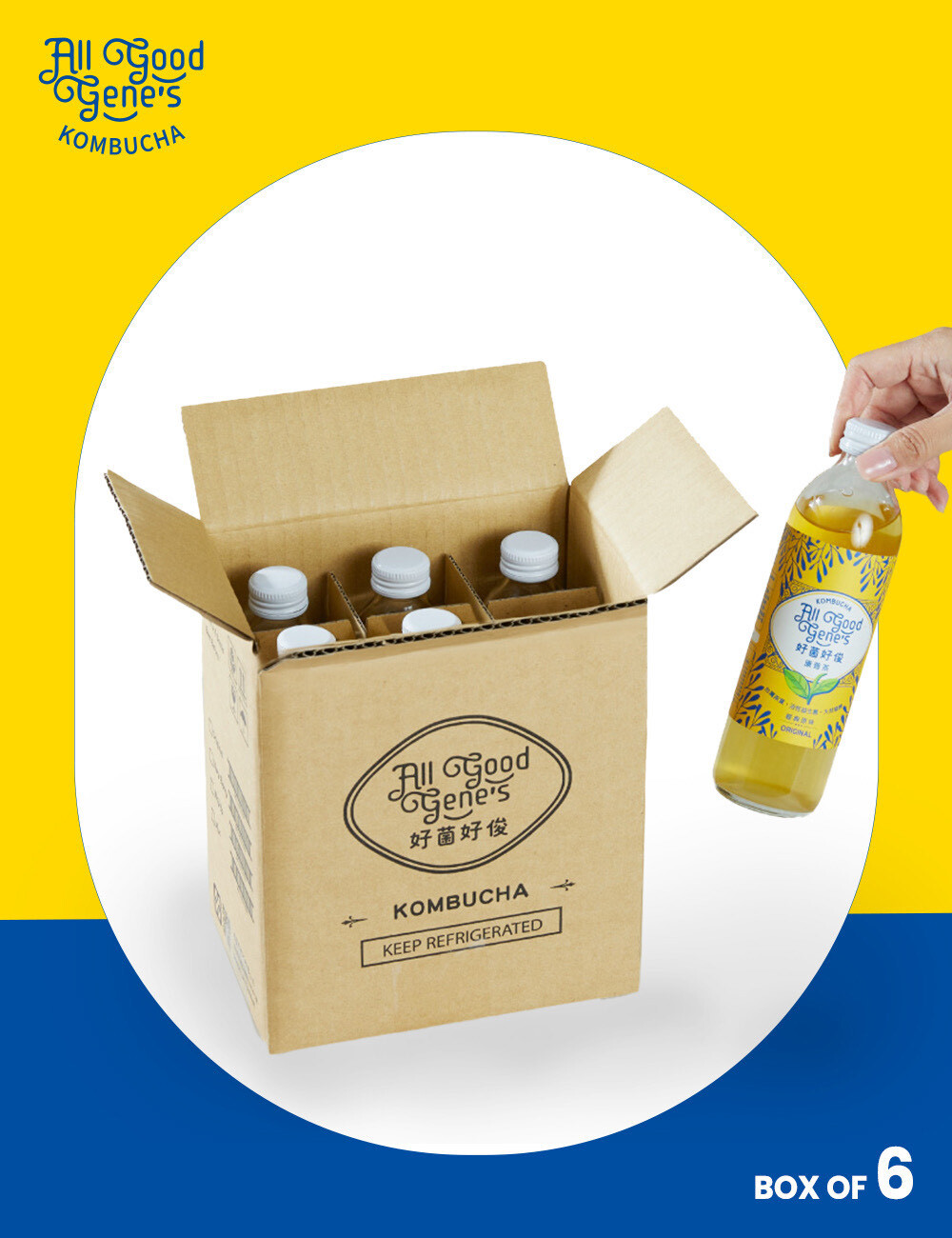 6入 綜合口味 康普茶 300ml