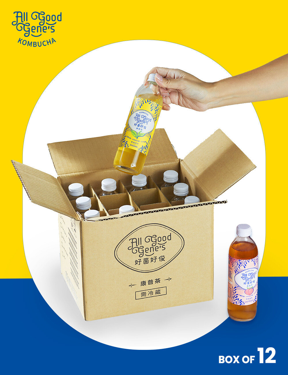 12入 綜合口味 康普茶 300ml