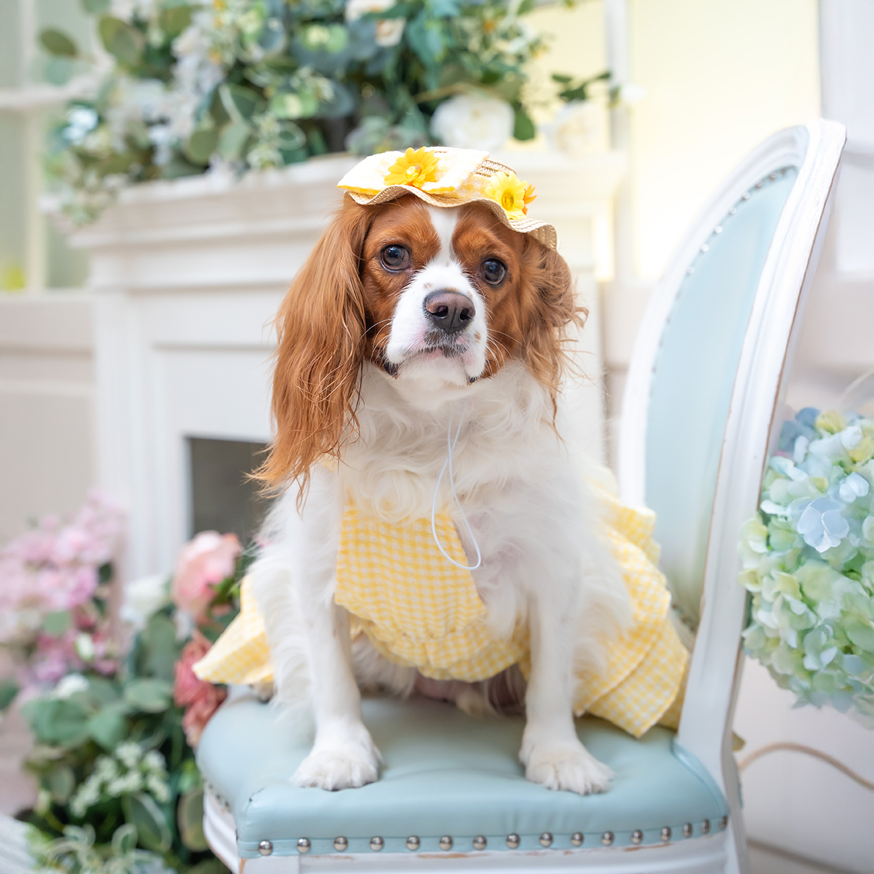 Yellow Layer Dress with hat