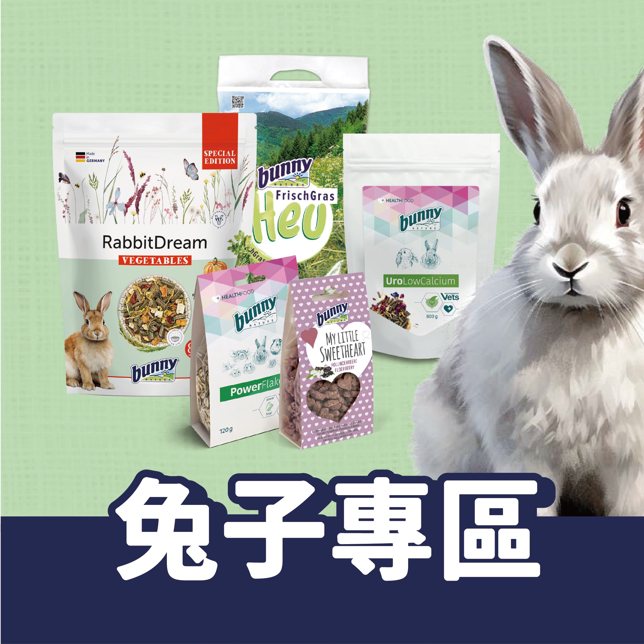 德國邦尼兔子專區