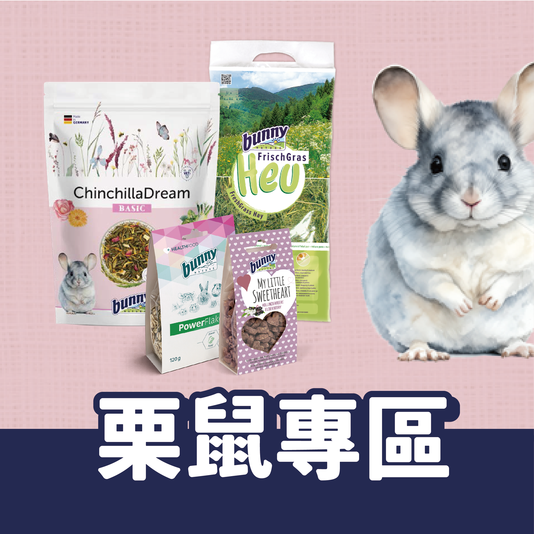 德國邦尼龍貓專區