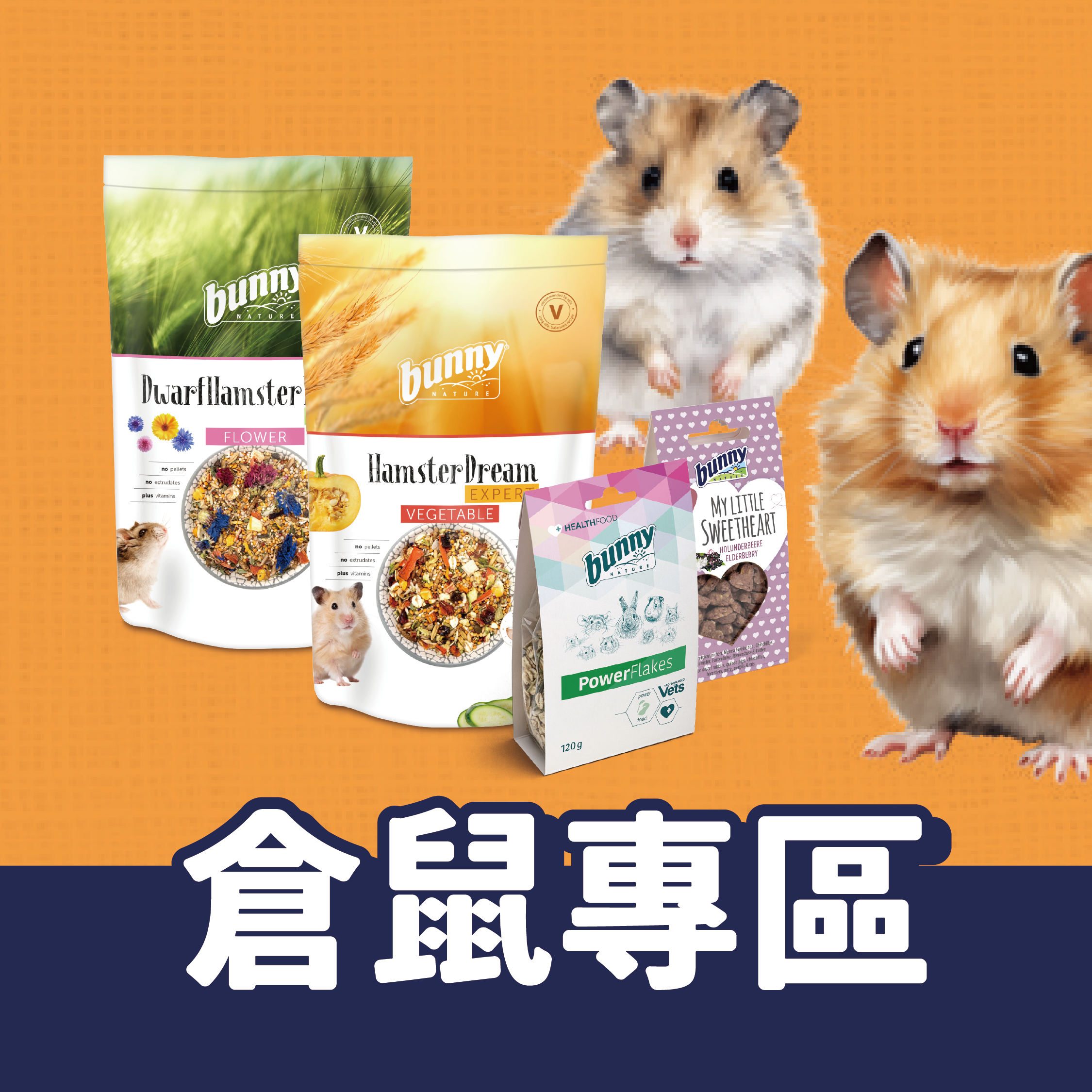 德國邦尼倉鼠專屬專區