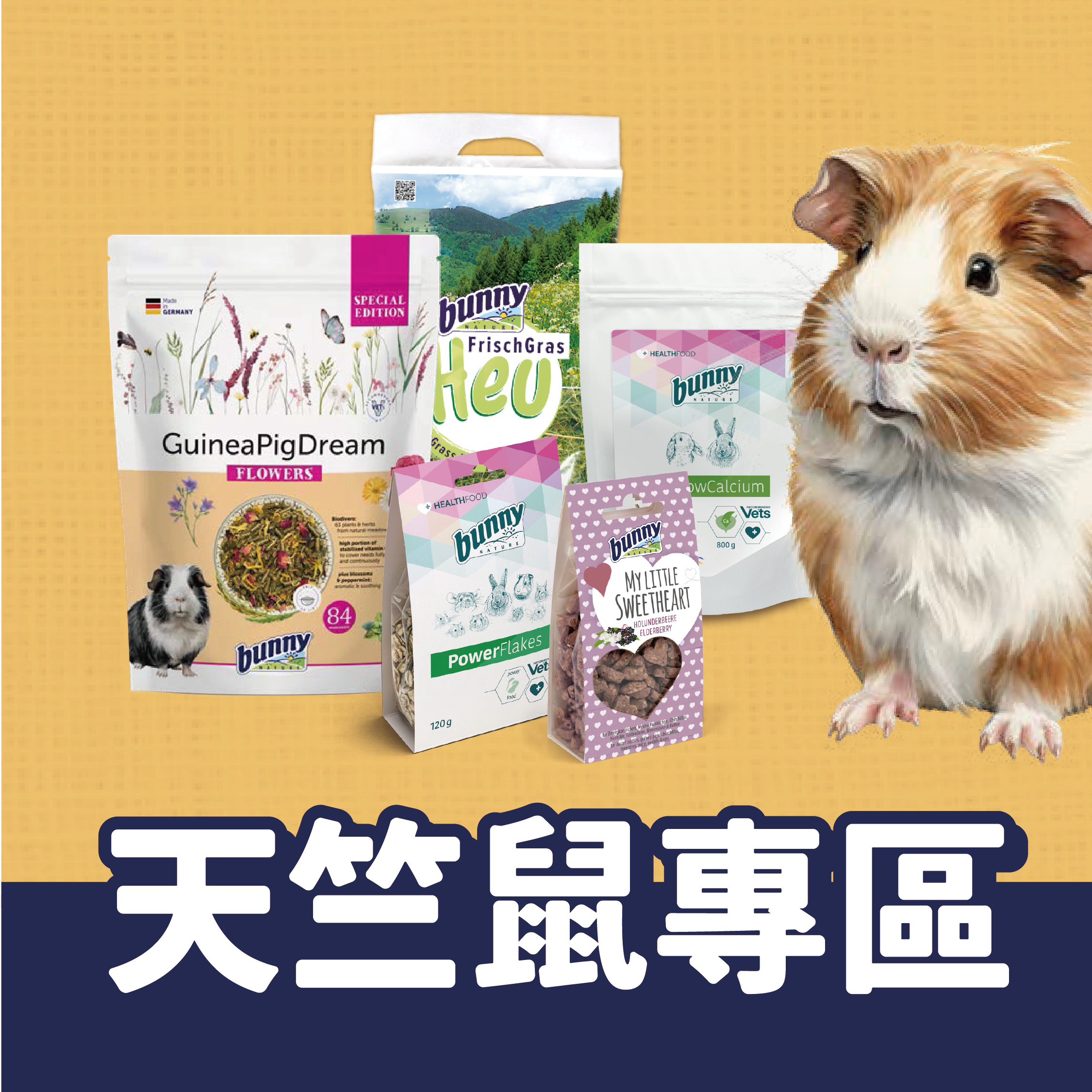 德國邦尼天竺鼠專區