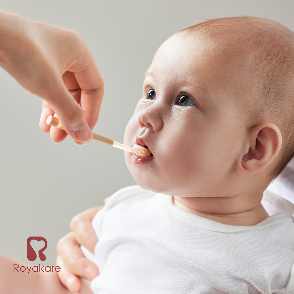 【Royalcare】口腔清潔套裝組合 (附收納盒)