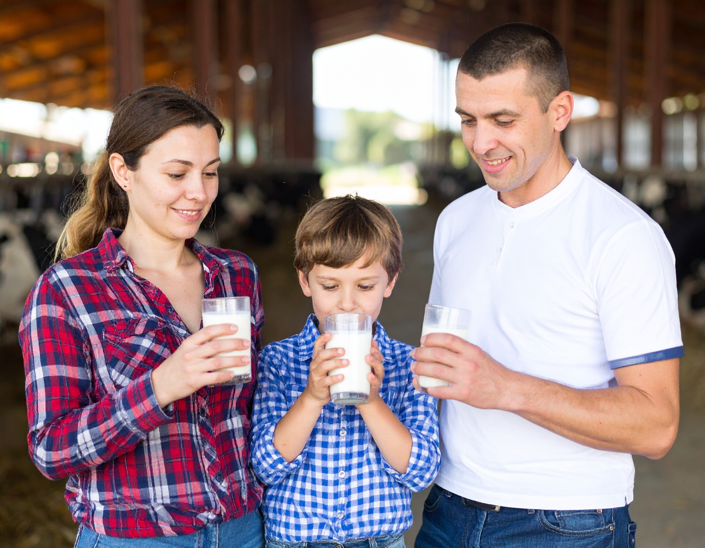 乳鐵蛋白具抗covid-19潛力 美國人時興喝生牛乳攝取