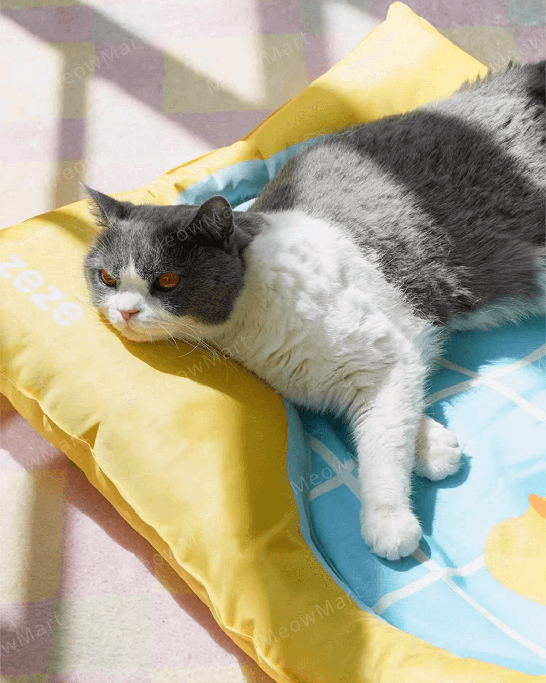 zeze 夏日泳池冰墊