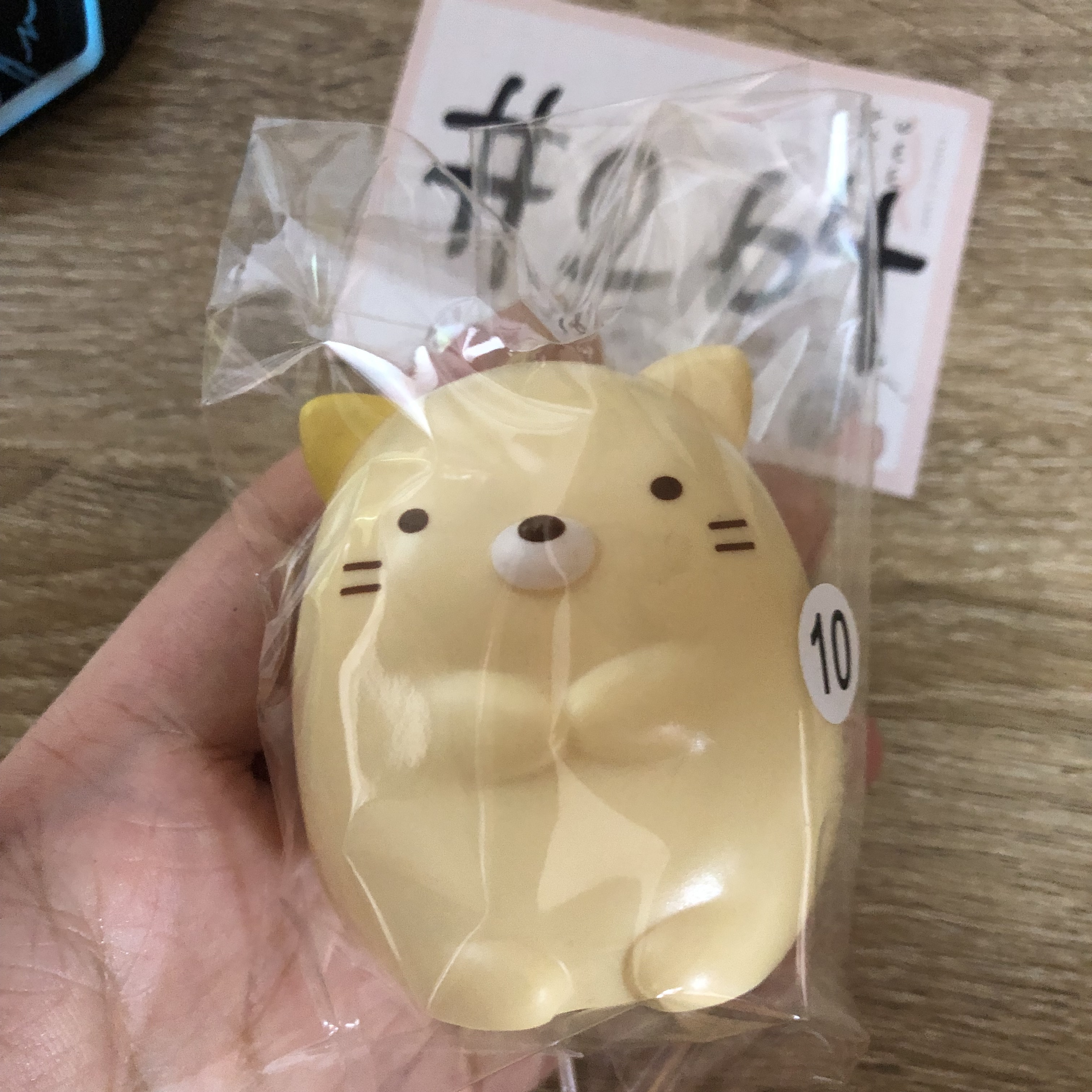 角落生物  貓  FIGURE  #264