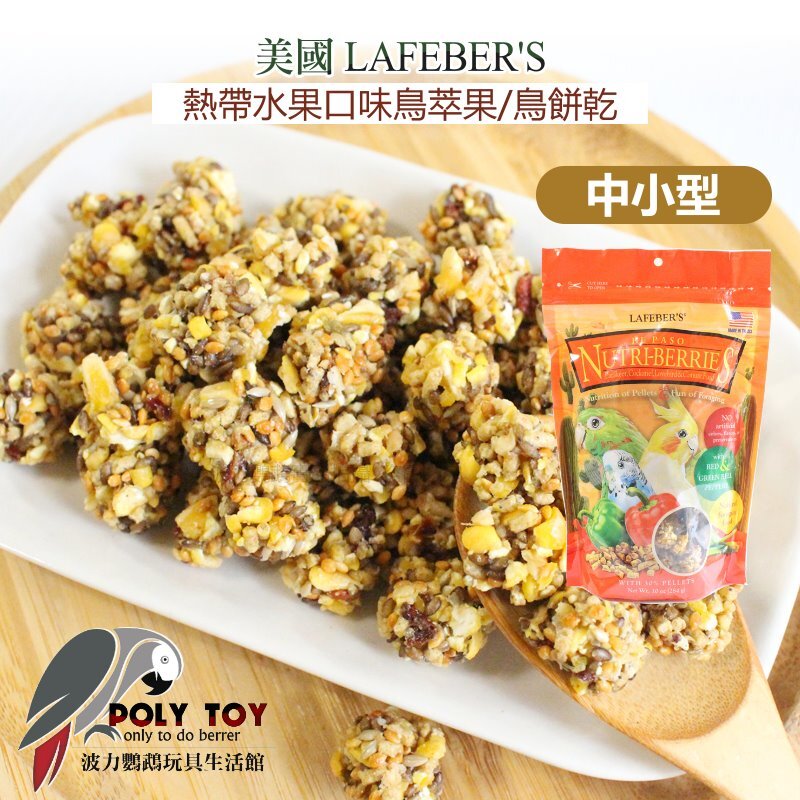 樂飛寶 辛香口味 鳥萃果 鳥餅乾 波力鸚鵡玩具生活館