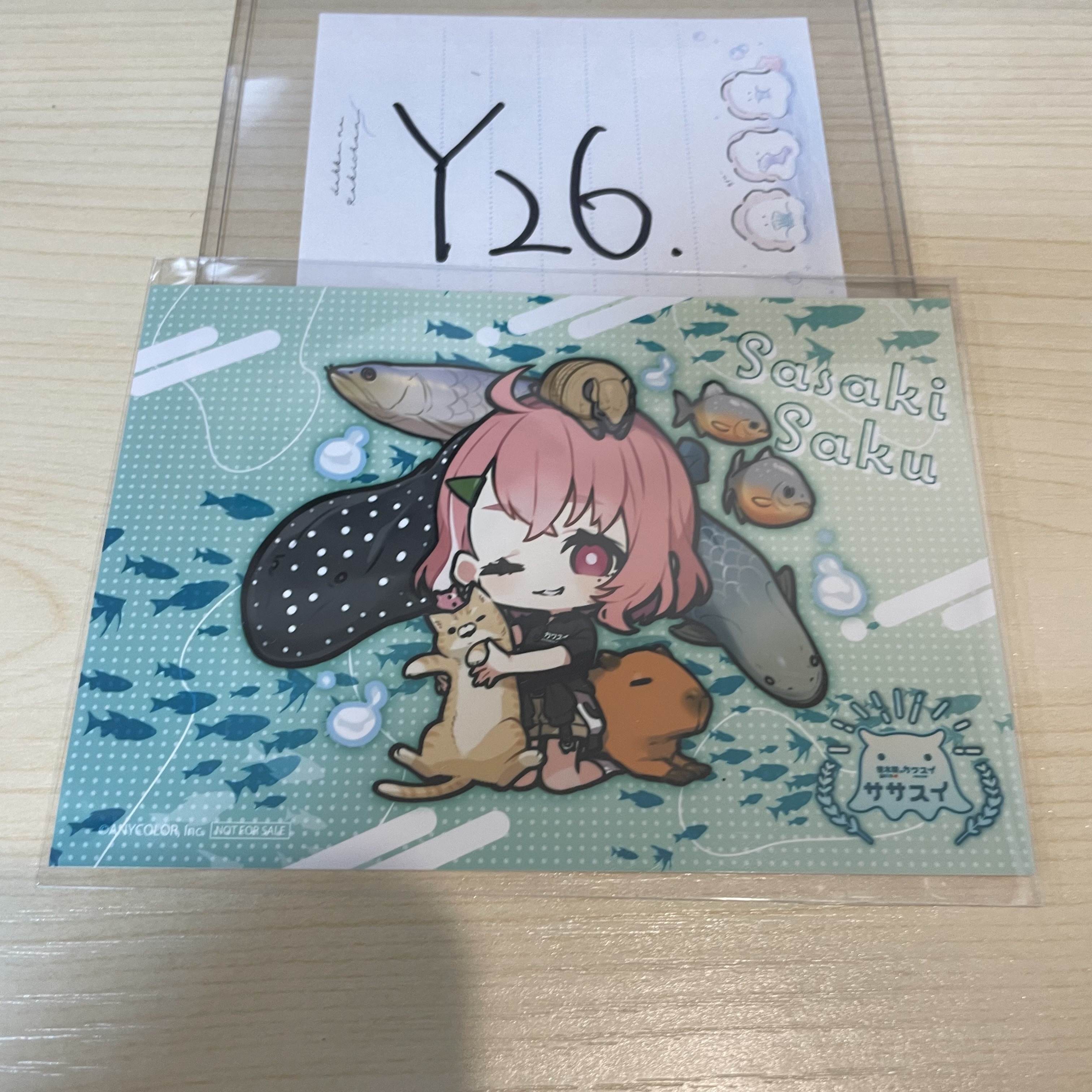 彩虹社 笹木 相卡                                    Y26