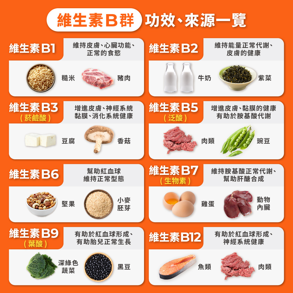 維生素B群功效、食物來源一覽