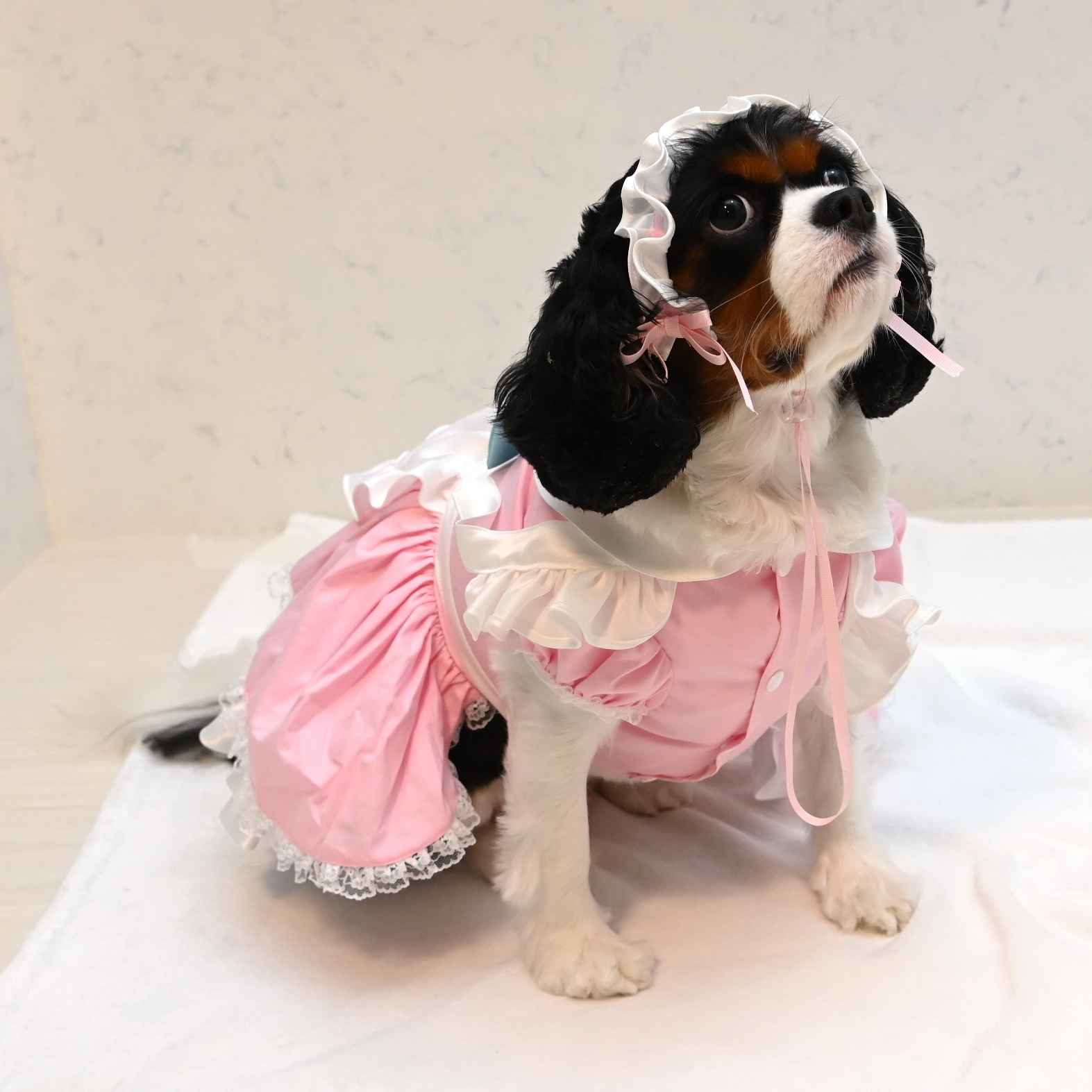 Pink Maid Dress with Headband