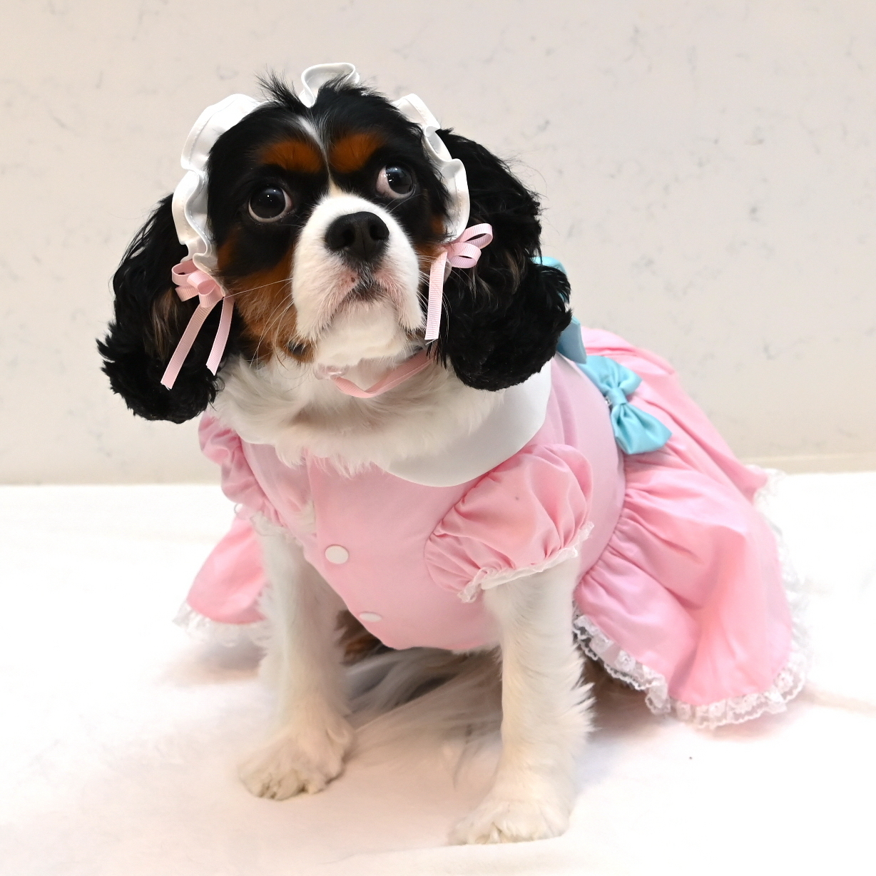 Pink Maid Dress with Headband