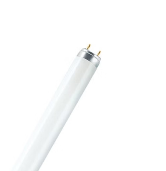 歐司朗 L30 530 30W 3000K T8 螢光燈管