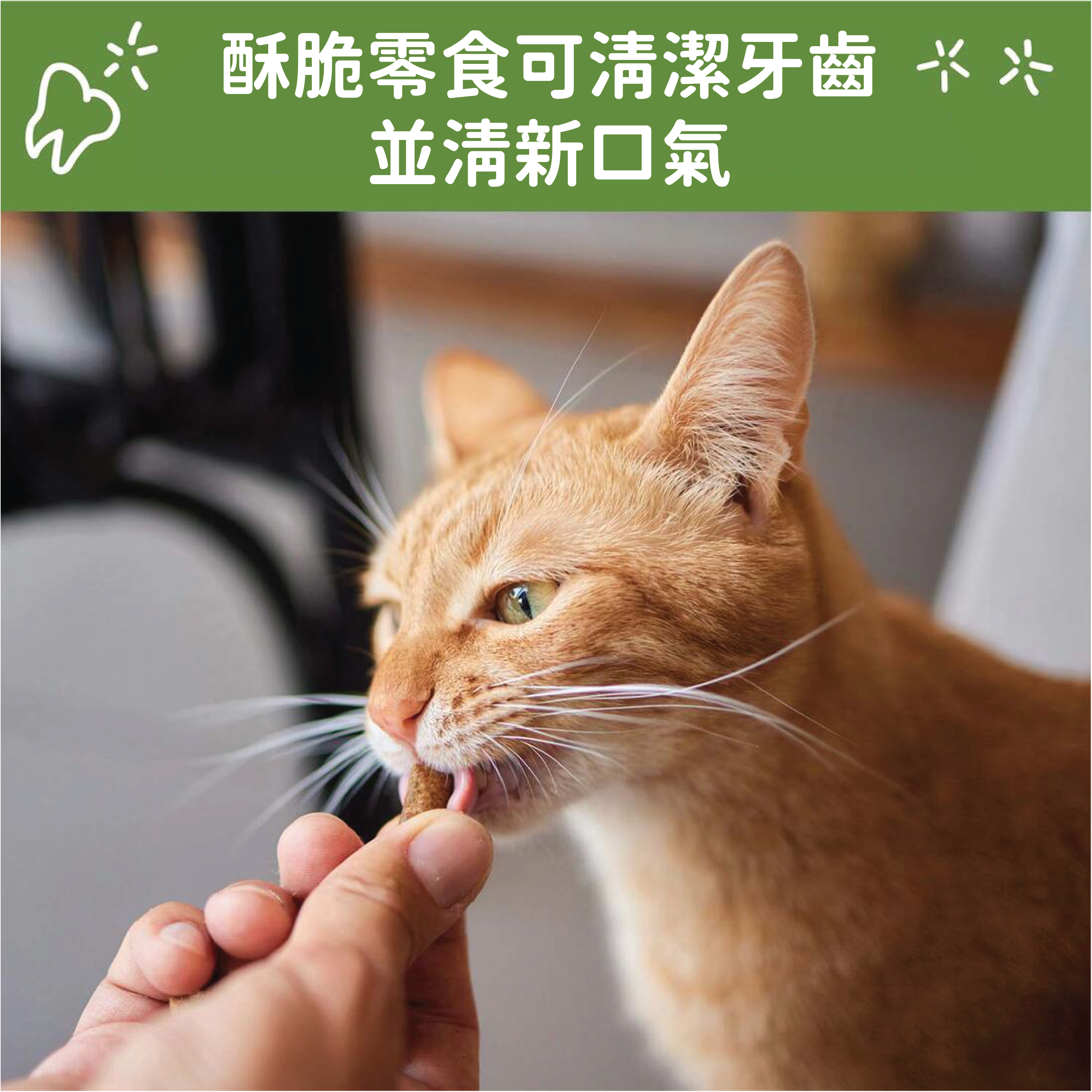WHIMZEES 唯潔- 貓咪潔牙餅 鮪魚+雞肉口味
