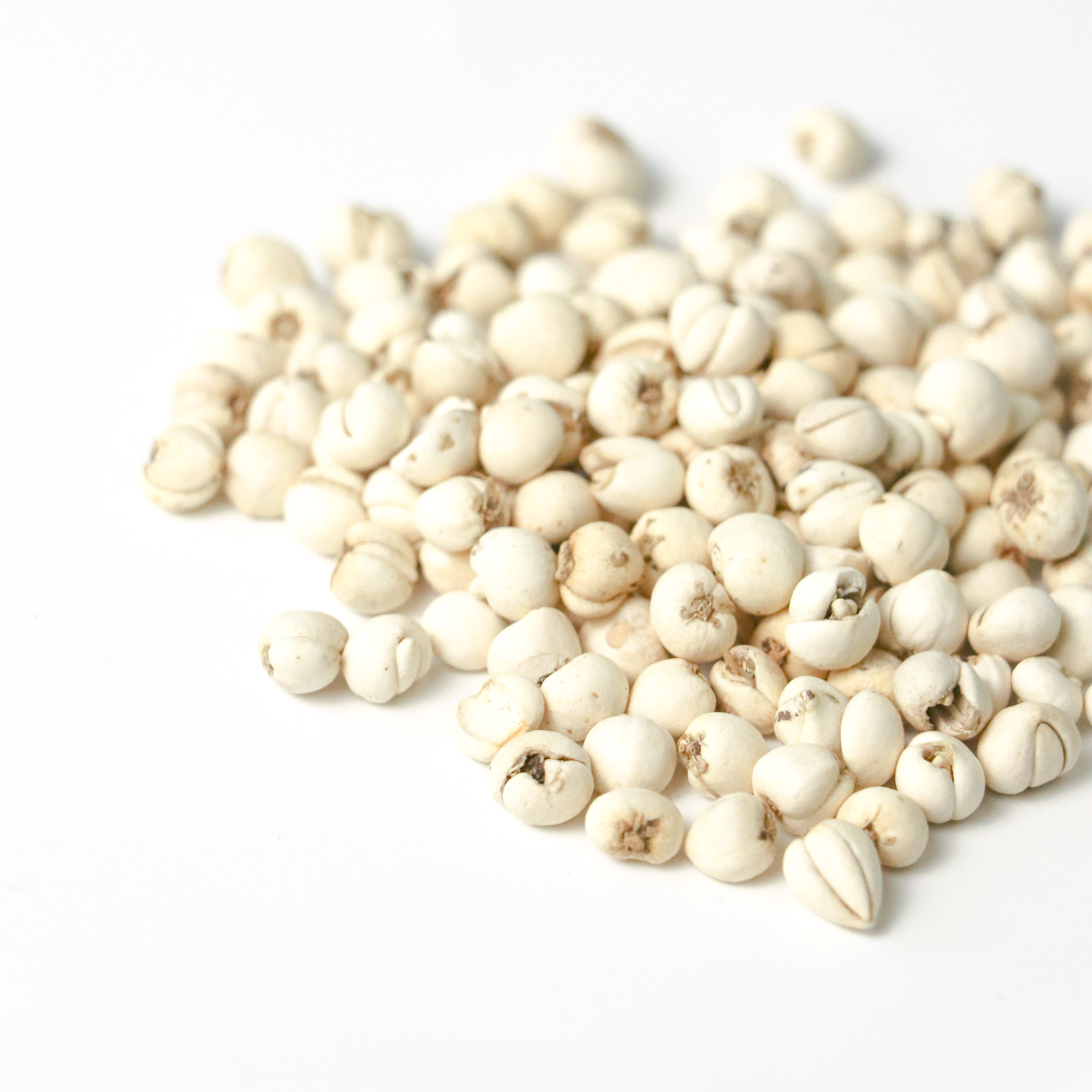 野生川貝, 川貝粒, 野生川貝粒