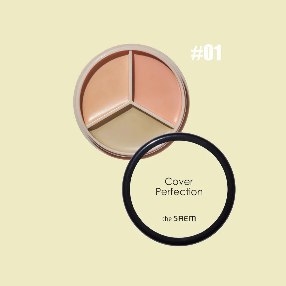 THE SAEM 完美3合1遮瑕膏 30g 【5款色號】