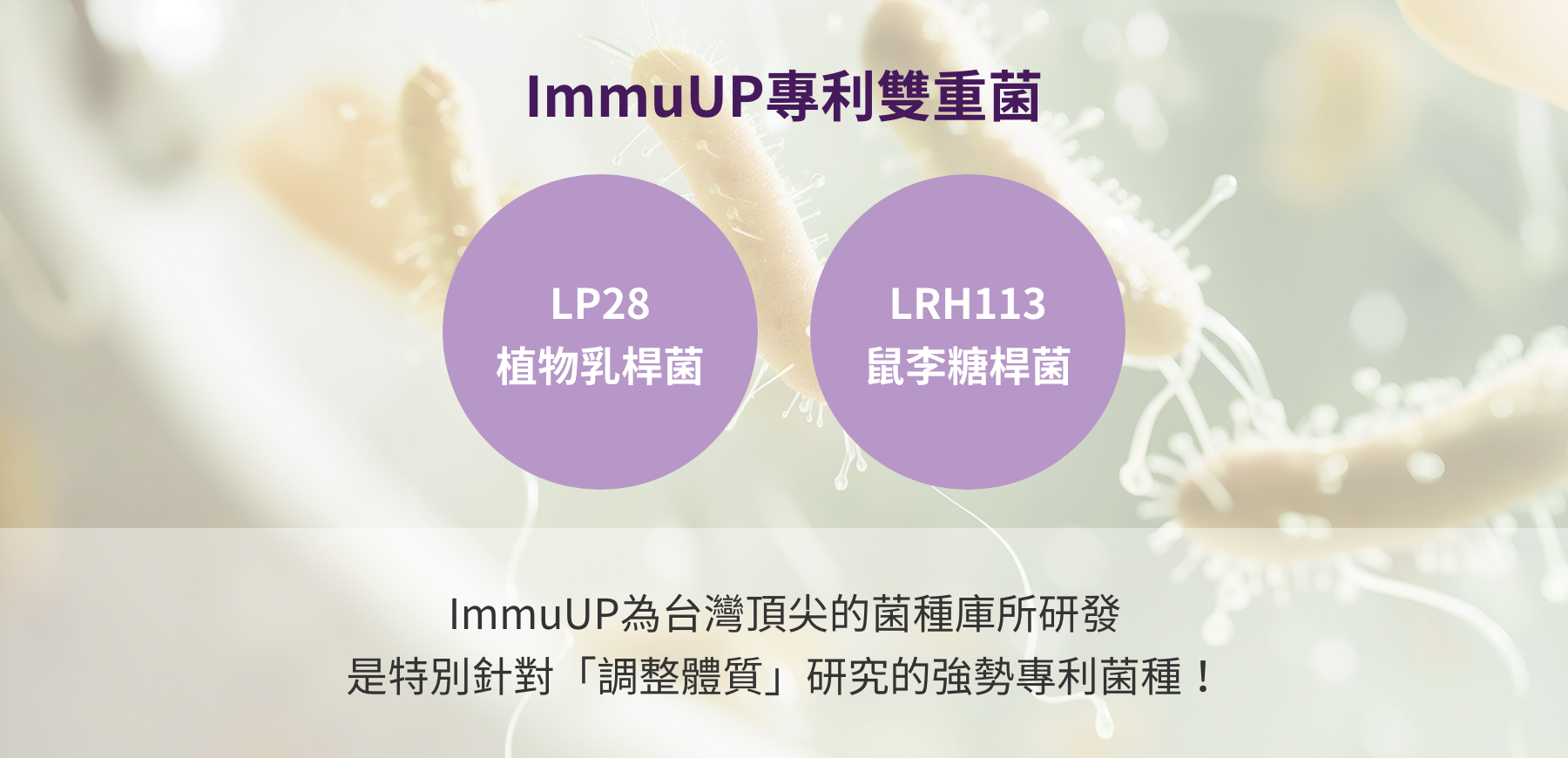 ImmuUP專利雙重菌
