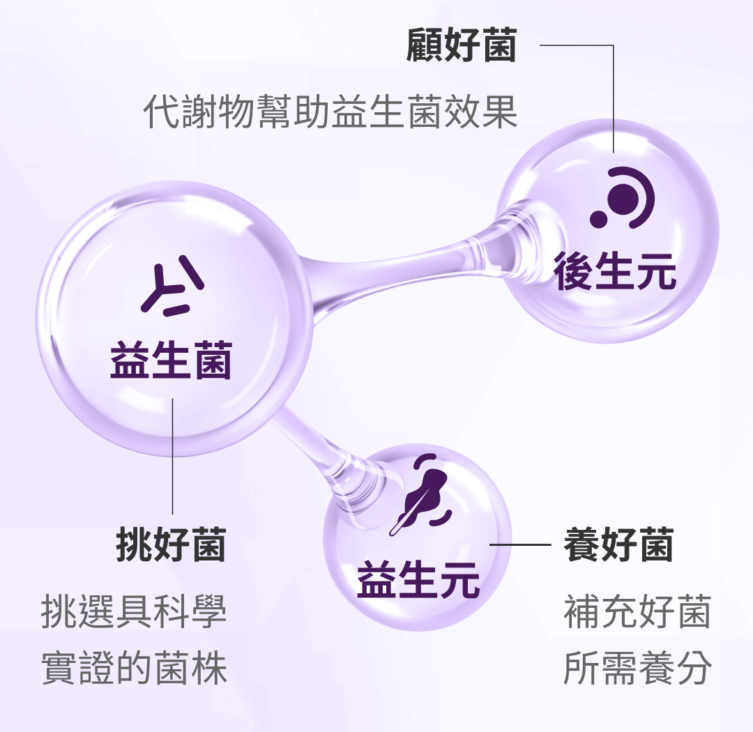 黃金三角配方:益生菌、益生元、後生元