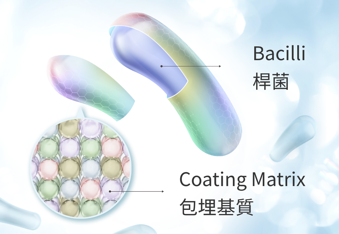 單層包埋經得起酸鹼考驗
