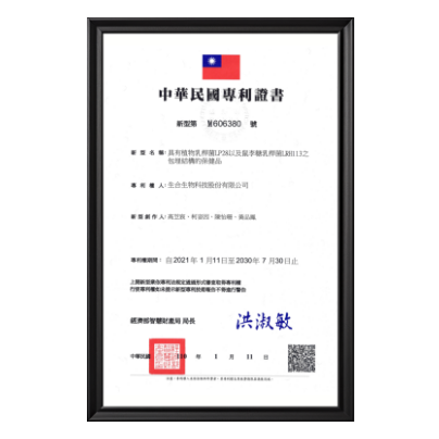 中華民國新型專利