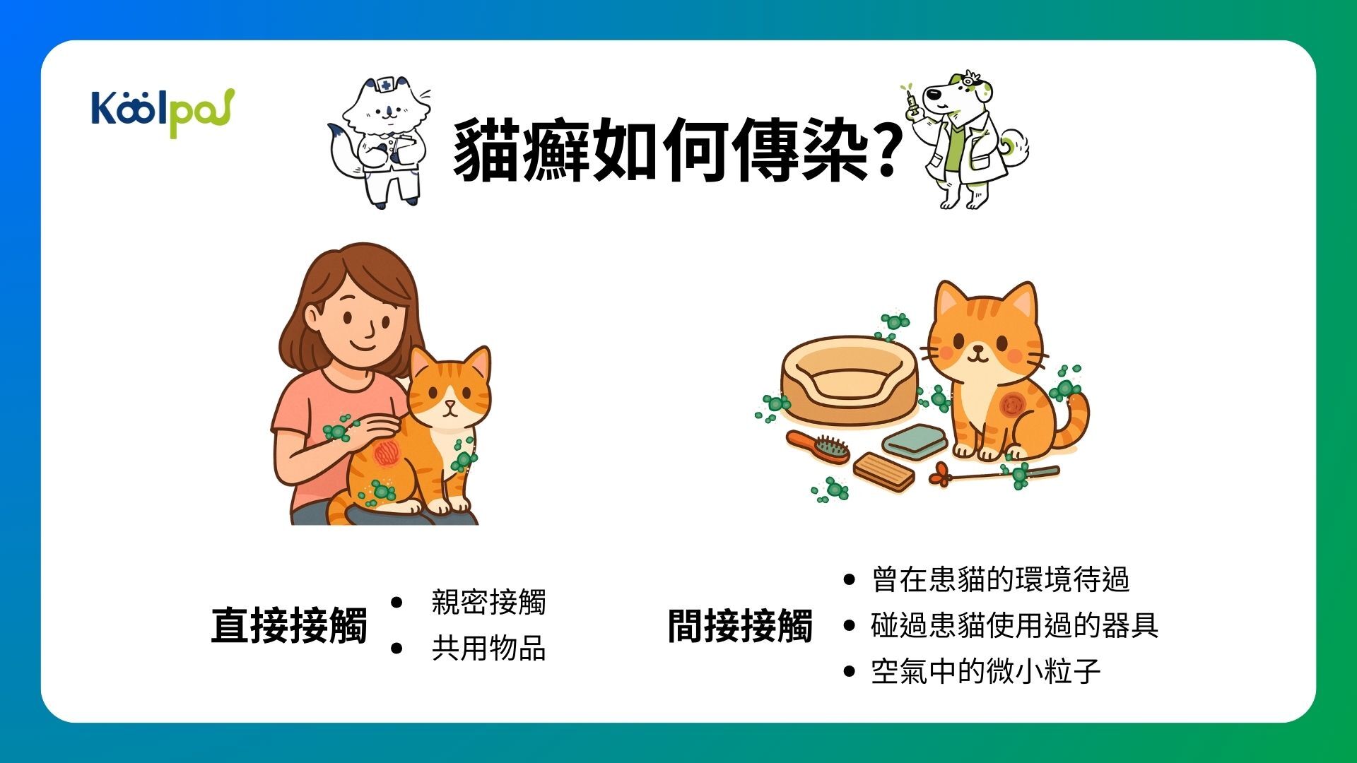 貓癬可能會透過接觸傳染給主人或其他家人