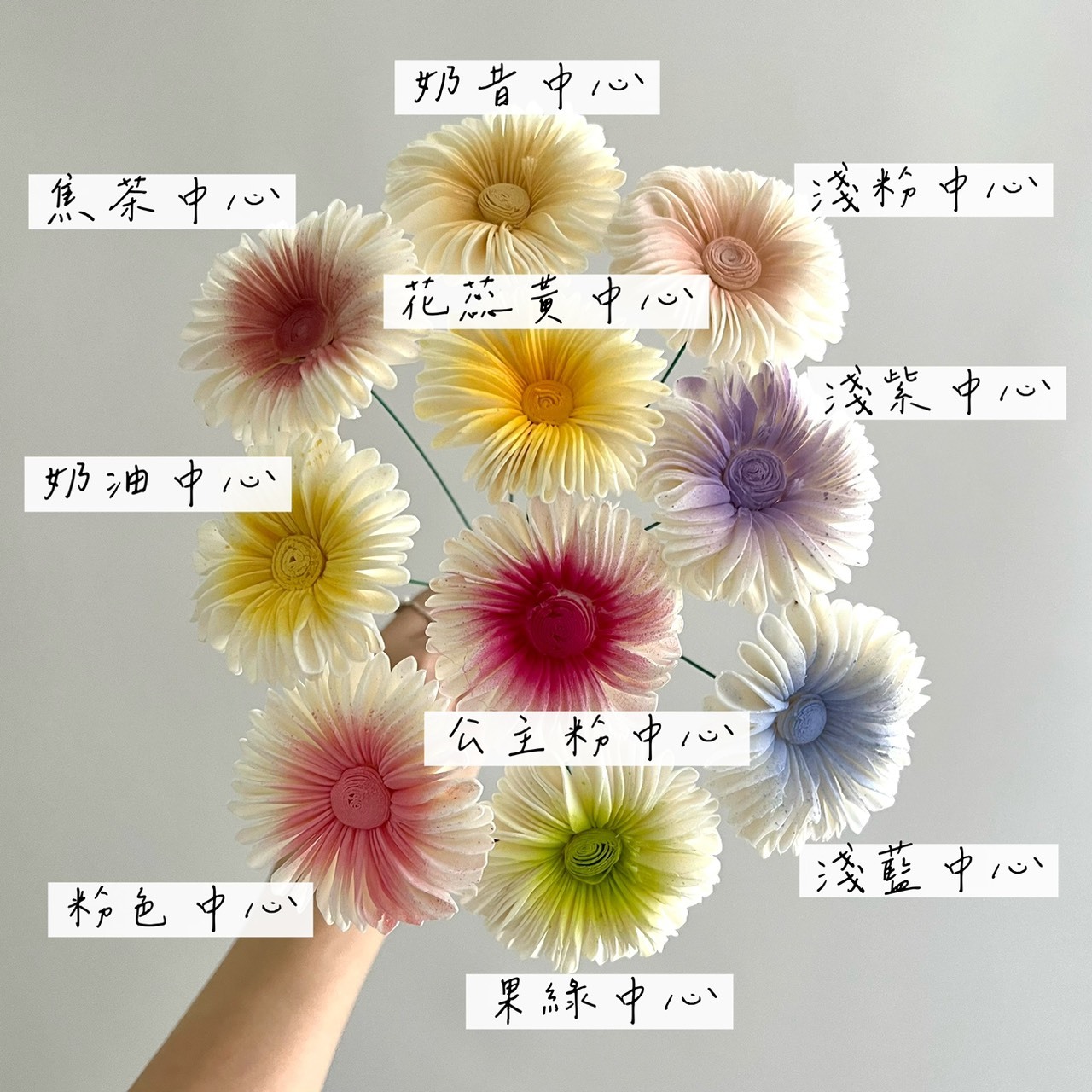 泰國索拉花 雨傘太陽花 6CM <十支一把> (高品質)