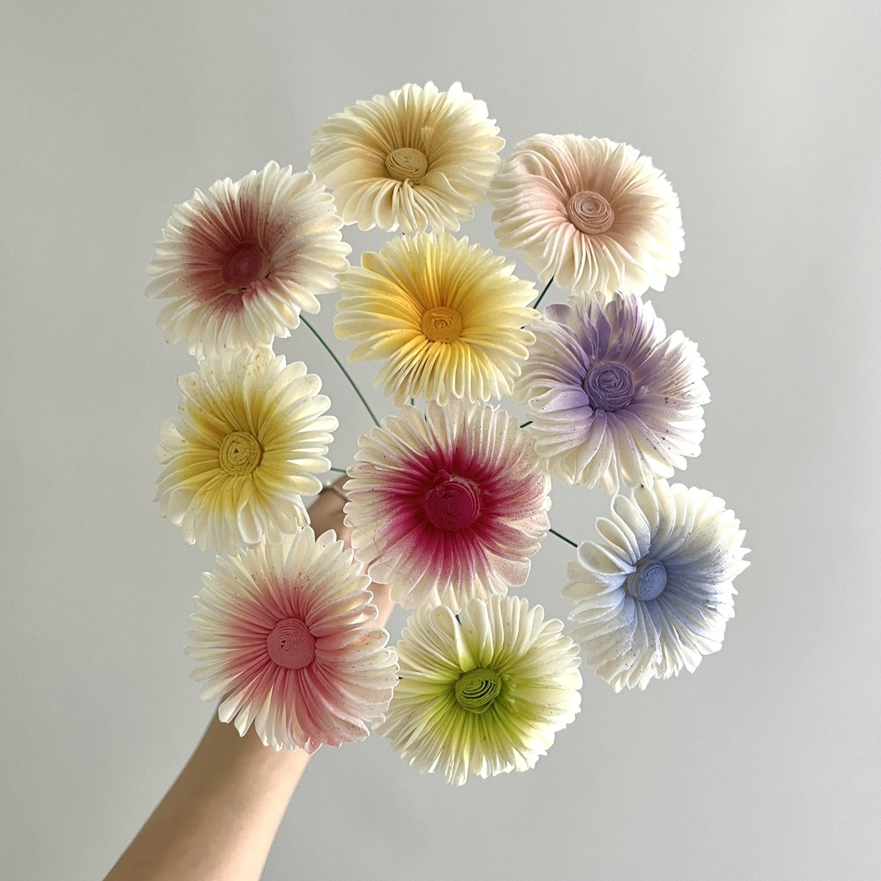 泰國索拉花 雨傘太陽花 6CM <十支一把> (高品質)