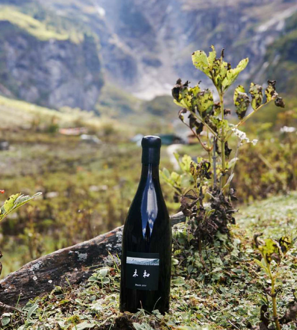 Domaine Muxin Rouge 2022