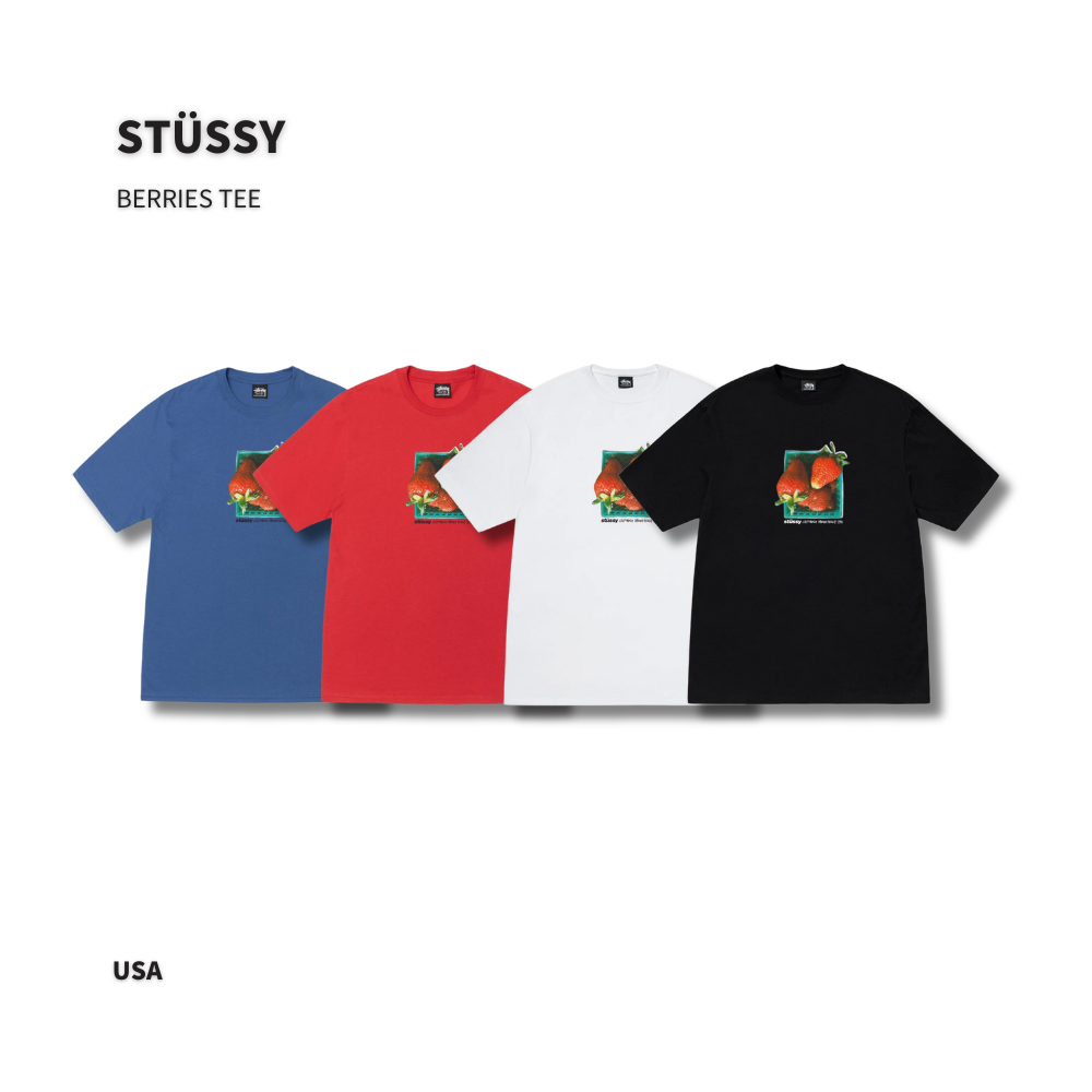★25SS 大人気★STUSSY Berries Tee ☆25SS 大人気☆STUSSY Berries Tee トップス（メンズ）