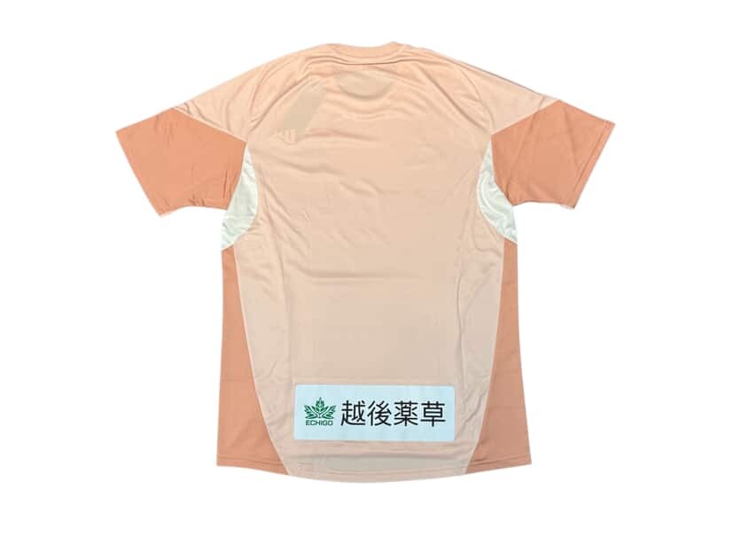 2025 新潟天鵝 訓練球衣