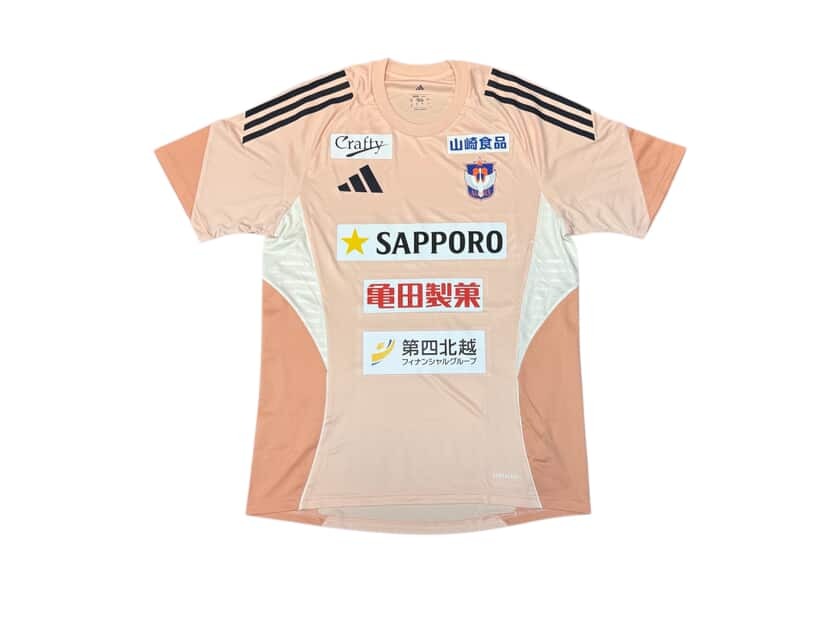 2025 新潟天鵝 訓練球衣