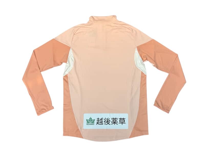 2025 新潟天鵝 半拉鏈訓練上衣