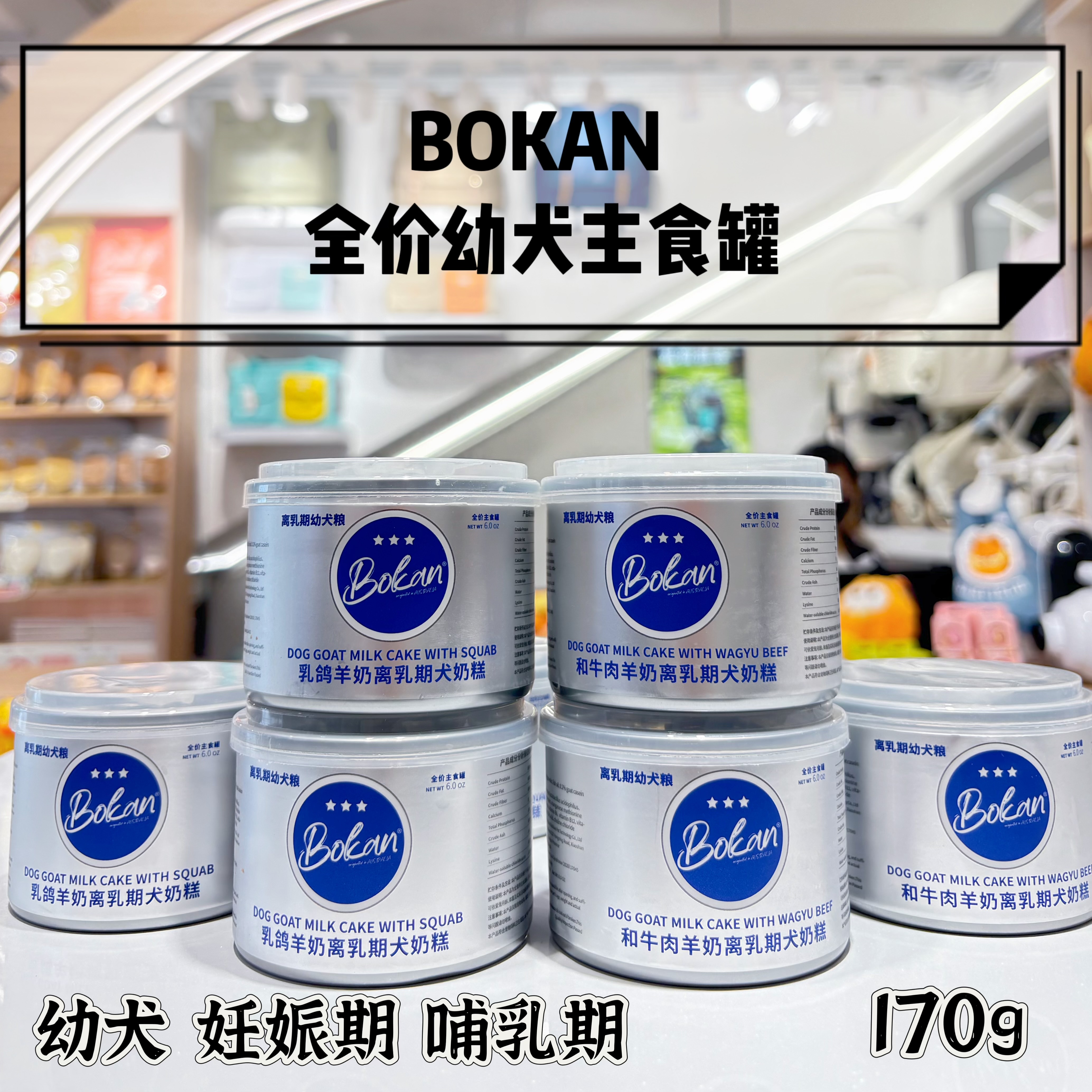 BOKAN 全价幼犬主食罐 170G