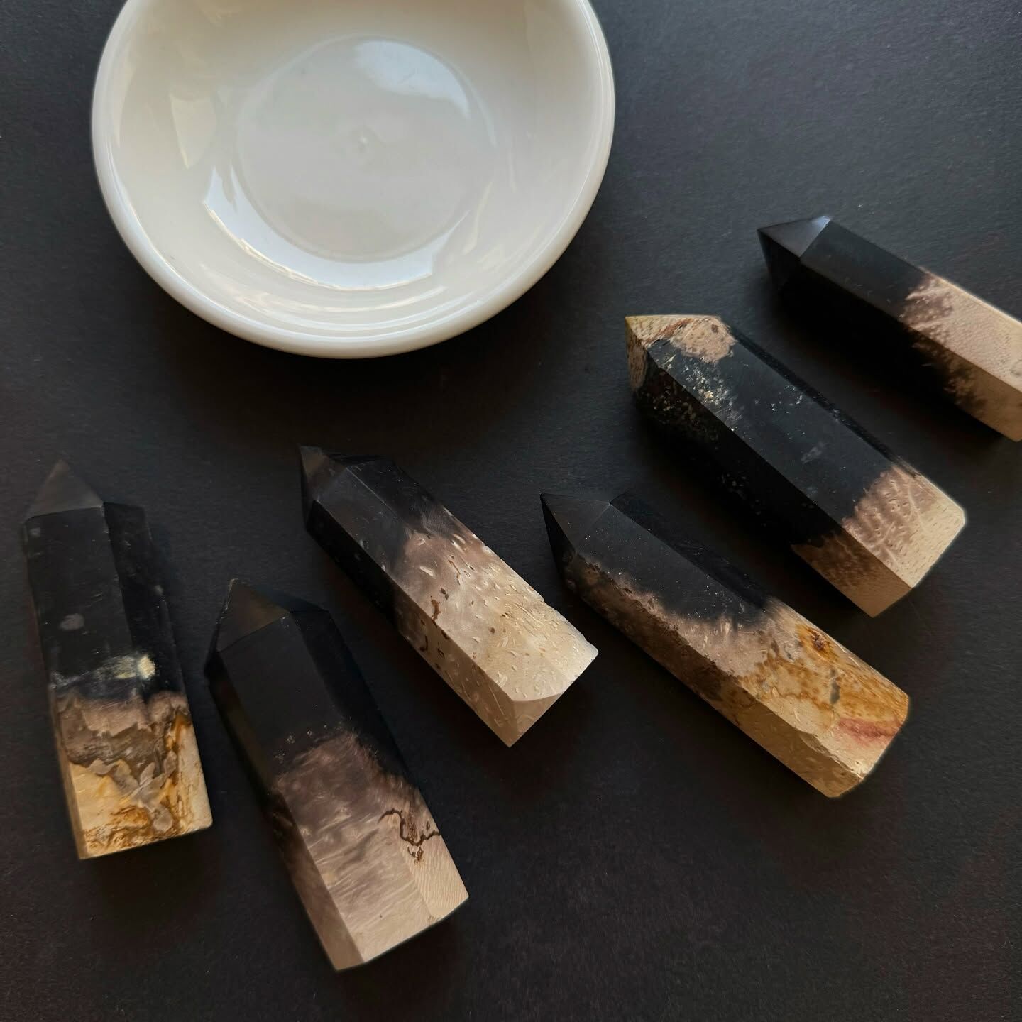 [原石] 棕櫚石 棕櫚木化石 水晶柱