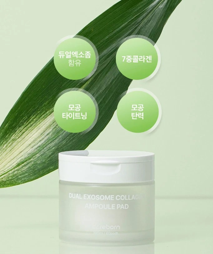 (3028)dr.reborn dual exosome collag ampoule pad雙重外泌體膠原蛋白安瓶墊 (60ea)