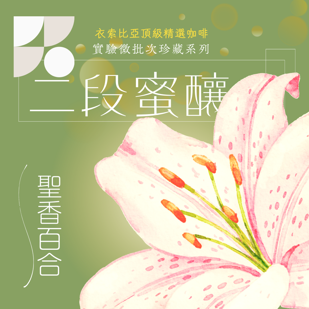 衣索比亞 聖香百合 二段蜜釀處理法