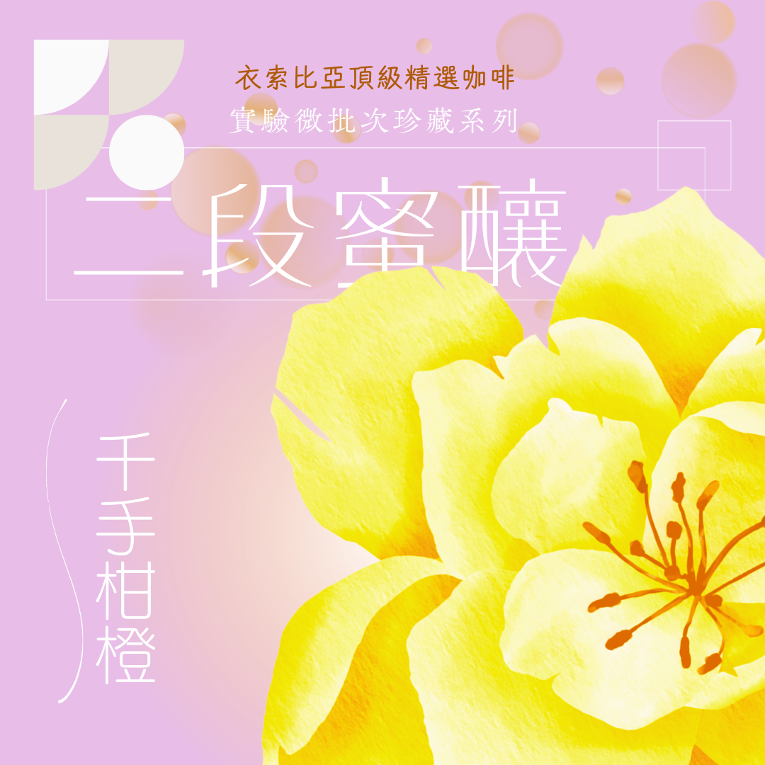 衣索比亞 千手柑橙 二段蜜釀處理法