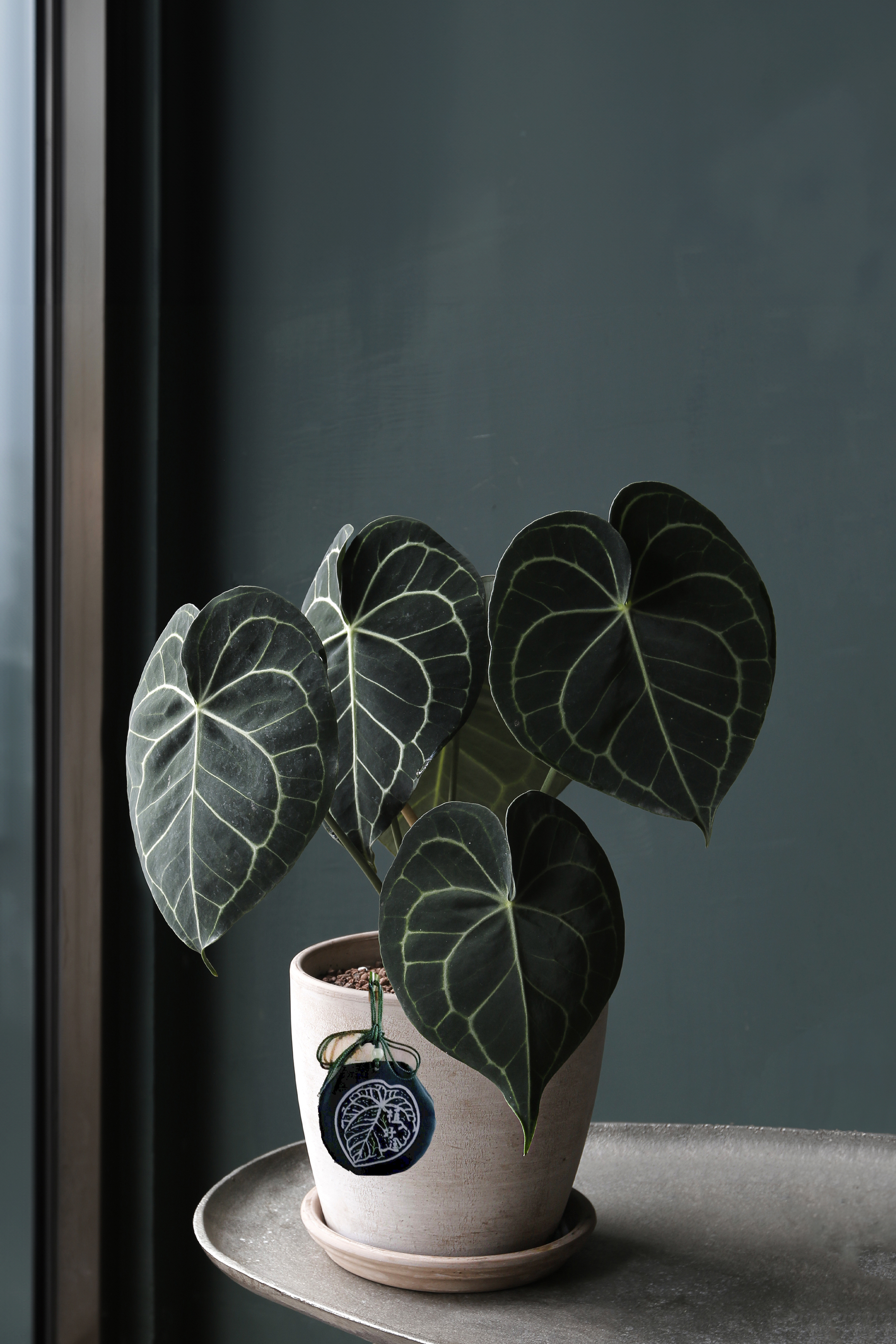 〈 植入好運 〉天然草本香氣 安神香包