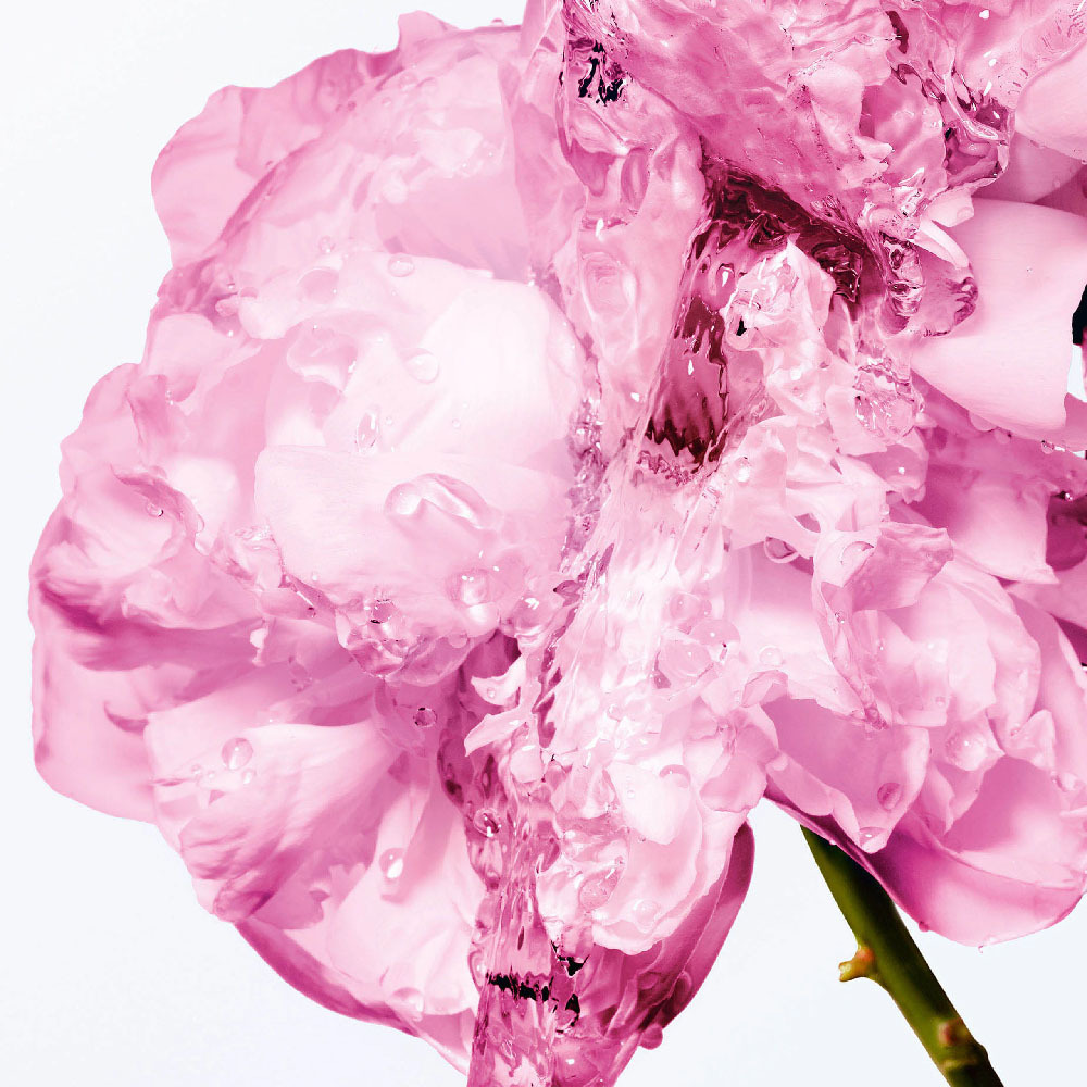 Dior 迪奧 Miss Dior 玫瑰潤膚乳液 175ml TESTER (環保盒) -C299700711