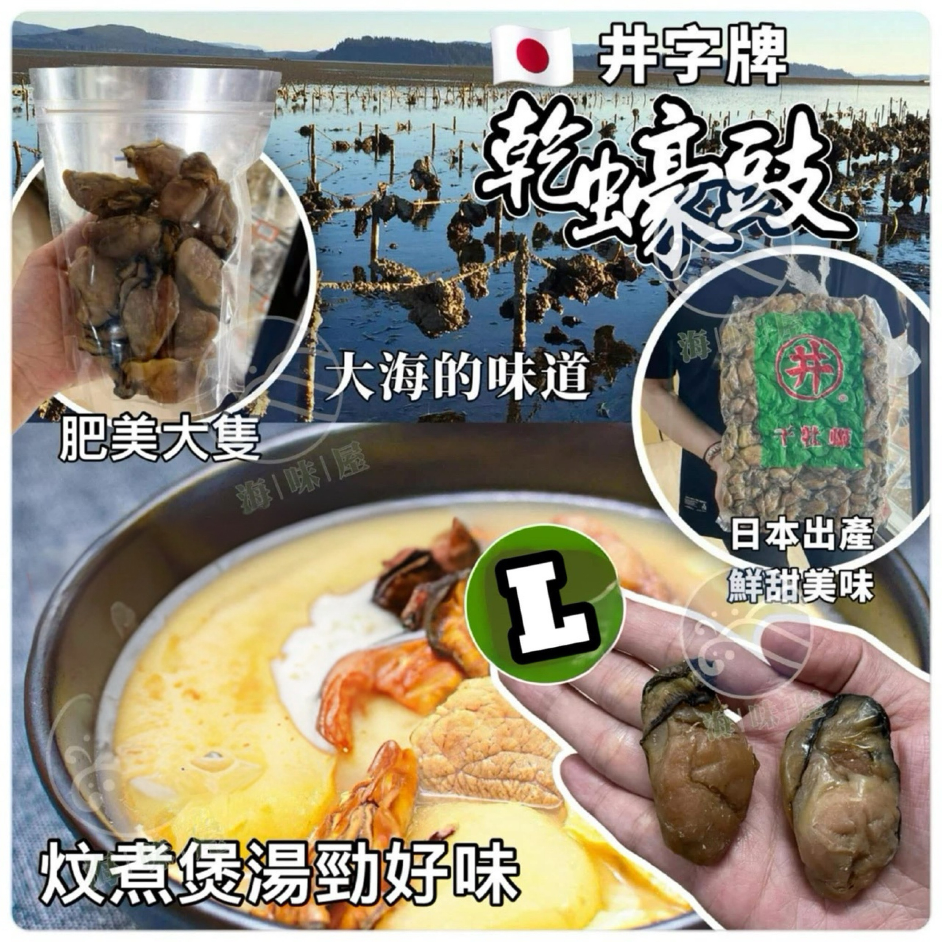 H16702 日本L 乾𤐶豉(井) 200g (約30隻）