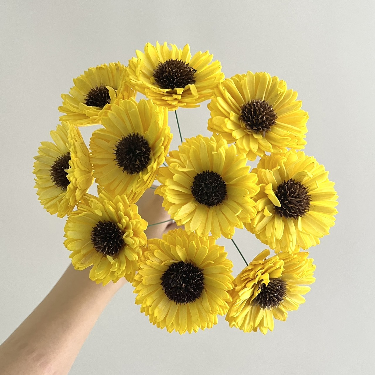 越南索拉花 水染百日菊 6CM-109U<十支一把>