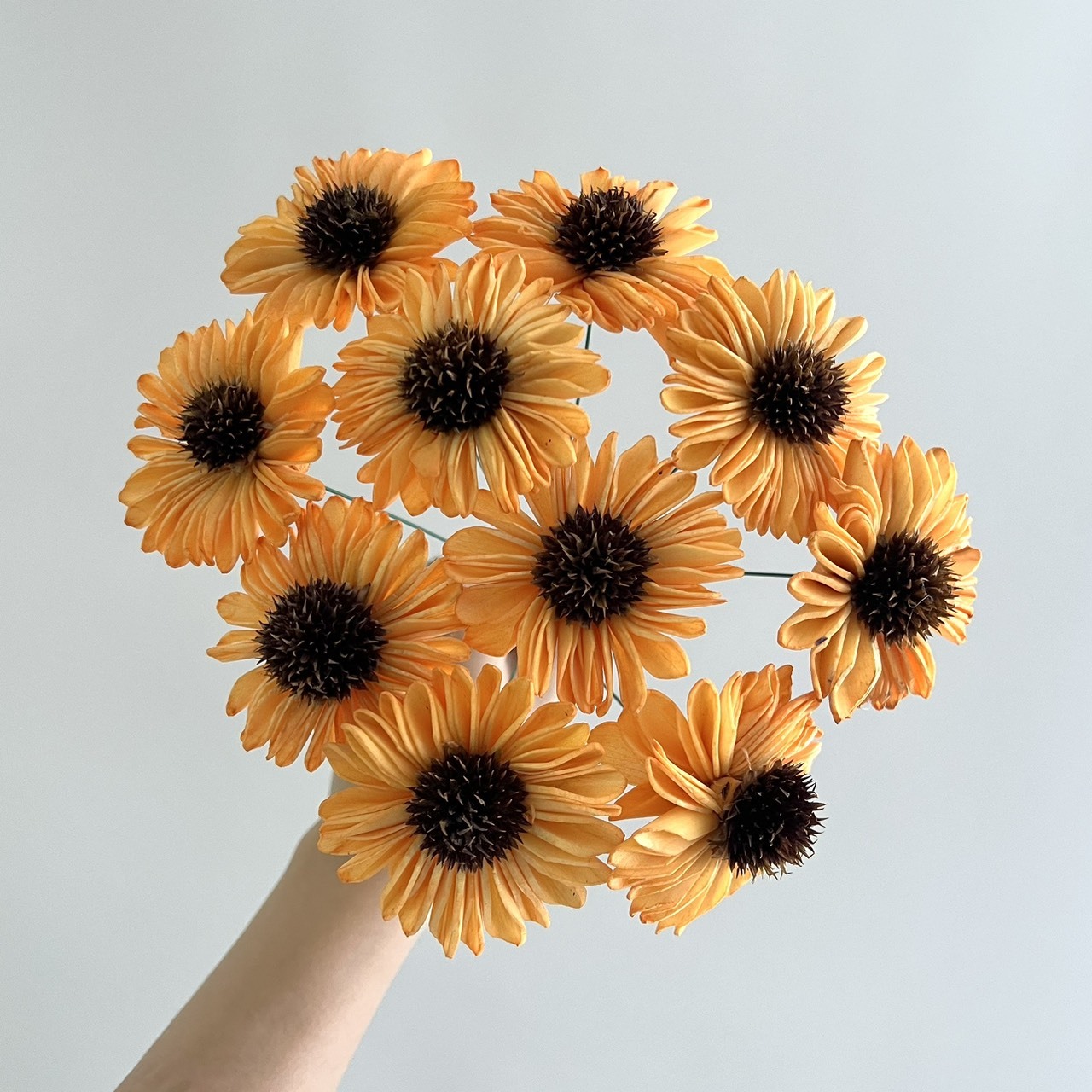 越南索拉花 水染太陽花 6CM-161359U<十支一把>