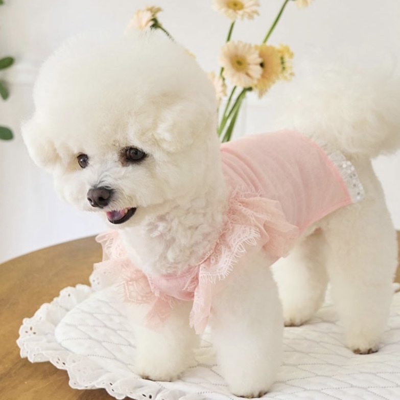 涼夏Irene荷葉蕾絲上衣-蜜桃- It’s sunny outside